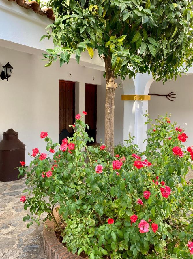 El Molino De La Quinta Constantina Exterior foto