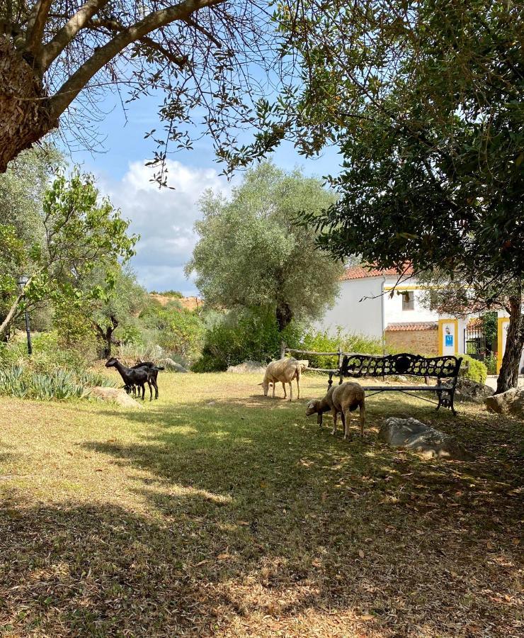 El Molino De La Quinta Constantina Exterior foto